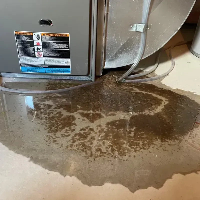 Appliance Leak Cleanup in John Day, OR